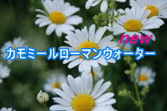 J~[[}EH[^[ 